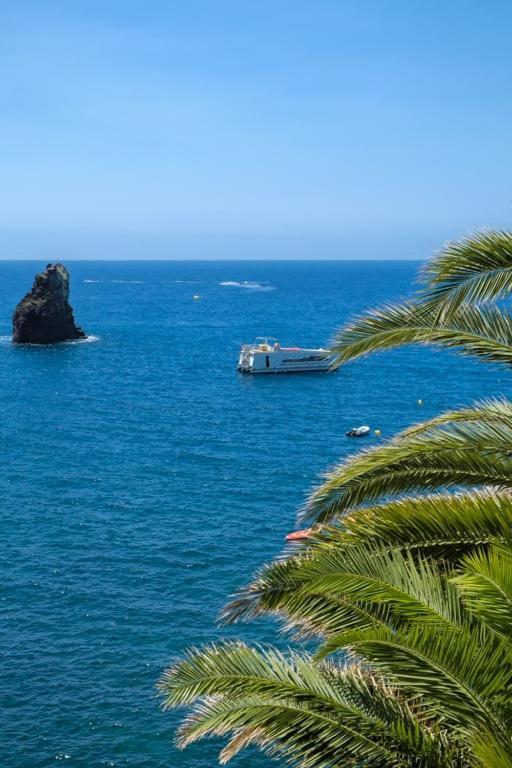 Guestready - A Sunny Delight In Funchal Lägenhet Exteriör bild