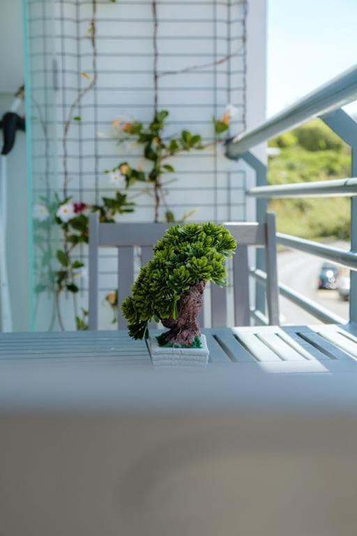Guestready - A Sunny Delight In Funchal Lägenhet Exteriör bild